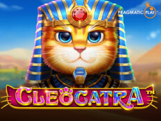 Cool cat casino download. Ali galip zebitay.98